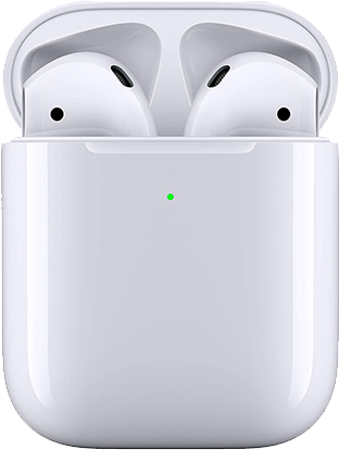 Apple A2032 A2031 A1602 (Airpods 2)