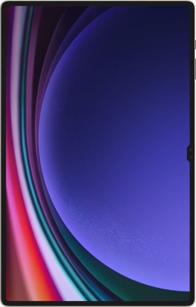Samsung Tab S9 Ultra 256GB